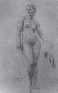 Estudio de desnudo para Venus